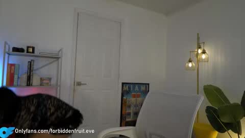 Snapshot of forbiddenfruit_eve chatting on 03/24/26, 04:23 forbiddenfruit_eve online show from 03/24/26, 04:23