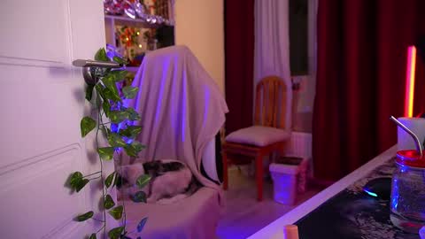 Senya  subscribe to telegram channel  online show from 12/02/25, 04:51