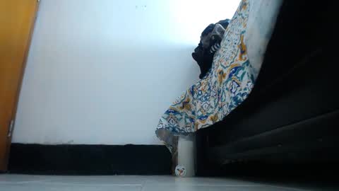 franklinm_7777 online show from 11/12/25, 04:57