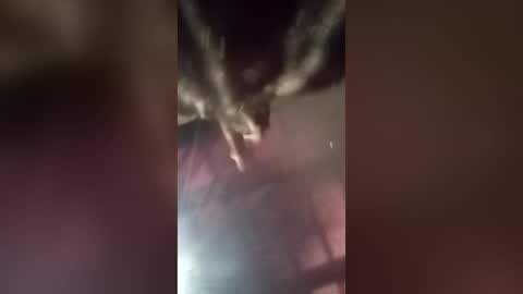 freakyrickyyy6 online show from 06/18/26, 03:38
