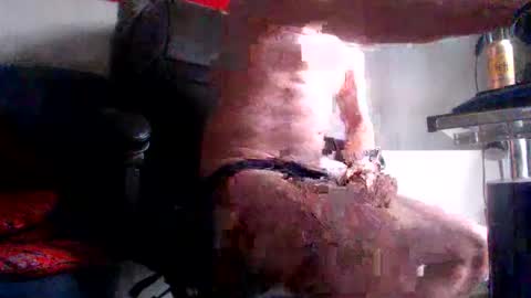 Snapshot of fred1051 chatting on 02/28/26, 08:15 yo online show from 02/28/26, 08:15