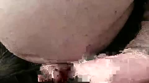 Snapshot of fredaldavid chatting on 01/28/25, 05:03 David Fredal online show from 01/28/25, 05:03