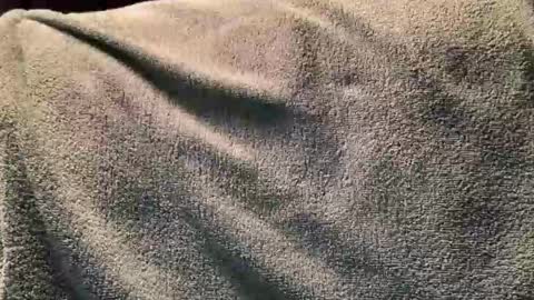 Snapshot of fredasstare chatting on 11/02/25, 12:24 Fred online show from 11/02/25, 12:24