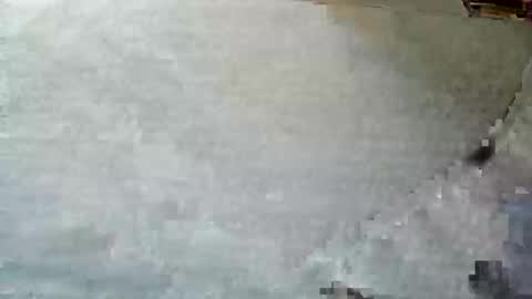 Snapshot of frenchpapalover chatting on 12/05/24, 12:33 frenchpapalover online show from 12/05/24, 12:33