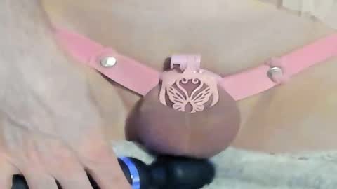 Meadow online show from 12/28/24, 02:11