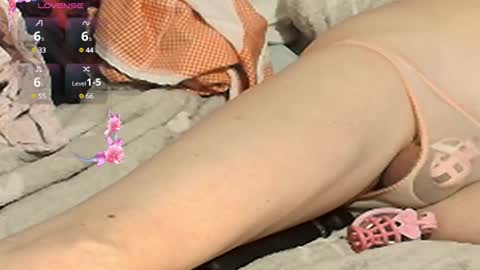 Meadow online show from 02/02/25, 06:53