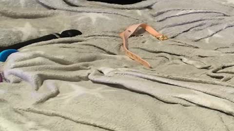 Meadow online show from 09/09/25, 11:26