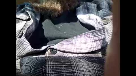 Snapshot of frickish chatting on 01/21/25, 06:55 Frickish online show from 01/21/25, 06:55