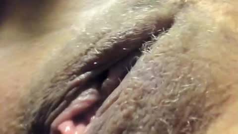 FrumCake online show from 12/30/24, 12:32