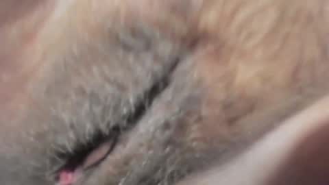 FrumCake online show from 01/10/25, 12:27