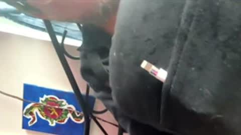 ftm_0 online show from 12/17/25, 06:25