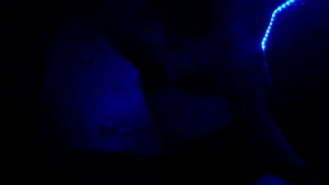 Snapshot of fu338208 chatting on 10/26/25, 06:52 fu338208 online show from 10/26/25, 06:52