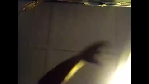 Snapshot of fucmebudoo chatting on 10/28/25, 07:34 Warwick online show from 10/28/25, 07:34