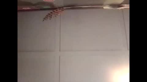 Snapshot of fucmebudoo chatting on 10/30/25, 11:16 Warwick online show from 10/30/25, 11:16