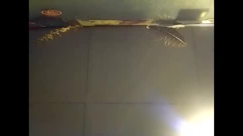 Snapshot of fucmebudoo chatting on 11/02/25, 07:44 Warwick online show from 11/02/25, 07:44