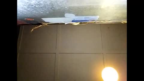 Snapshot of fucmebudoo chatting on 11/29/25, 09:23 Warwick online show from 11/29/25, 09:23