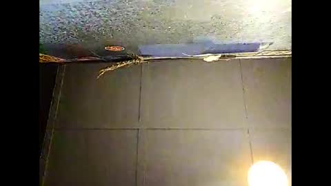 Snapshot of fucmebudoo chatting on 11/30/25, 10:30 Warwick online show from 11/30/25, 10:30