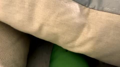 fun4him2018 online show from 01/12/26, 05:40