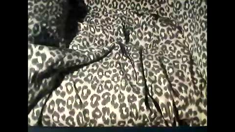 Snapshot of funcyman3 chatting on 02/18/25, 06:04 funcyman3 online show from 02/18/25, 06:04