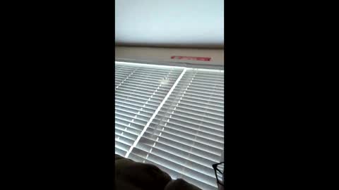 funk_doc_666 online show from 05/13/26, 07:55