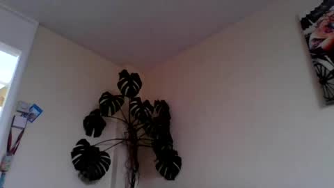 funn333222 online show from 06/15/26, 10:28