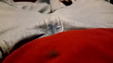 funncountry online show from 12/09/24, 04:01