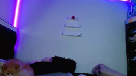 Snapshot of fysste_ chatting on 03/11/25, 12:00 Victoria online show from 03/11/25, 12:00