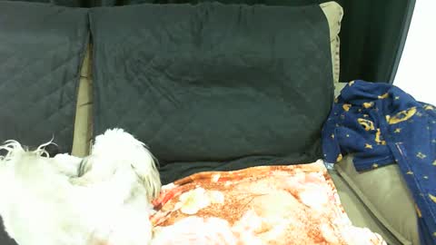 gaby  layla online show from 01/13/25, 03:56