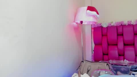 Snapshot of gabrielaa_01 chatting on 01/03/25, 04:37 Gaby Im on vacation see you on November 25 online show from 01/03/25, 04:37