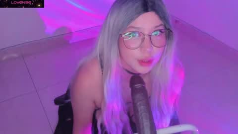 PROXIMO SHOW NOVIEMBRE 16   NEXT SHOW NOVEMBER  16    online show from 12/15/24, 02:19