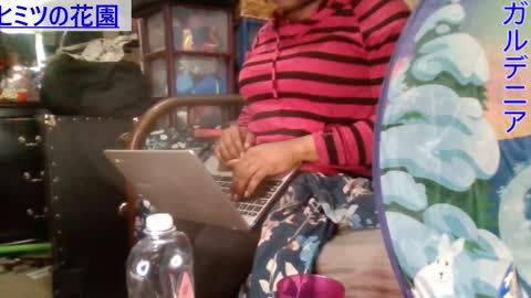 Gardenia online show from 01/05/25, 09:03