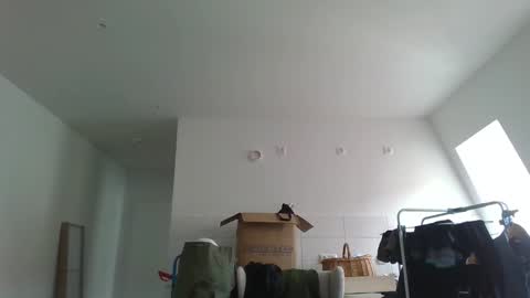 Snapshot of garfield42 chatting on 03/21/26, 09:47 Garfield online show from 03/21/26, 09:47