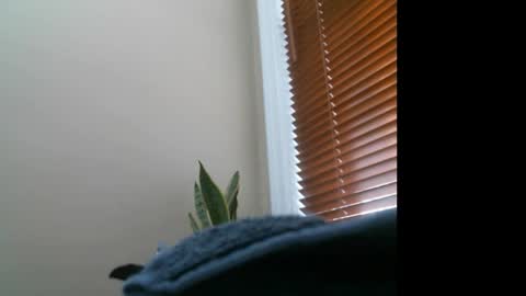 Lisa online show from 12/27/24, 07:14