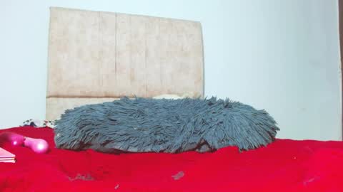 gatita13333321 online show from 01/26/25, 05:56