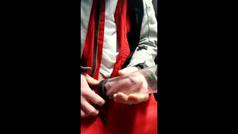 Snapshot of gator19037526775 chatting on 03/13/26, 02:23 gator19037526775 online show from 03/13/26, 02:23