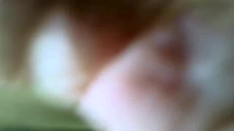 gazjones231 online show from 11/16/25, 12:22