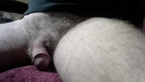 gemini_2 online show from 01/04/25, 06:09