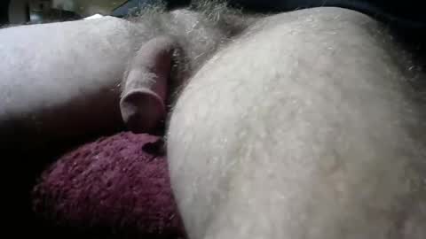 gemini_2 online show from 02/11/25, 05:40