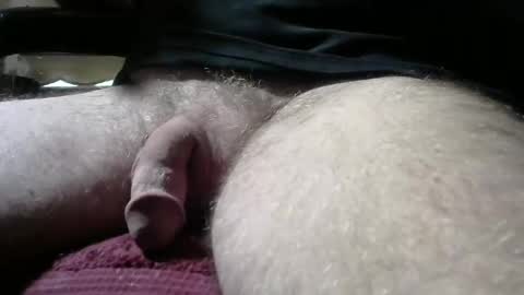 gemini_2 online show from 02/16/25, 05:37