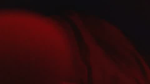 Snapshot of genitalwars chatting on 03/04/26, 02:17 genitalwars online show from 03/04/26, 02:17