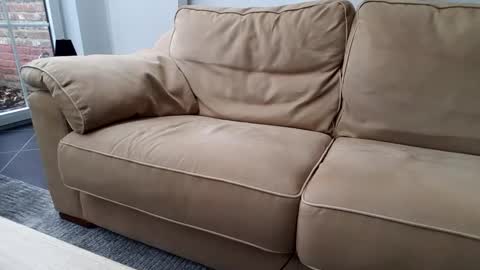 Snapshot of gentledad69 chatting on 12/30/24, 10:43 Gentle online show from 12/30/24, 10:43