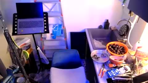 Snapshot of georgempt chatting on 01/12/25, 07:42 georgempt online show from 01/12/25, 07:42