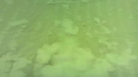 Snapshot of georgempt chatting on 06/15/26, 05:42 georgempt online show from 06/15/26, 05:42