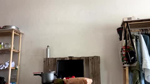 Snapshot of gerson229 chatting on 01/06/26, 04:11 gerson229 online show from 01/06/26, 04:11