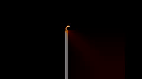 Snapshot of gerson229 chatting on 01/14/26, 12:11 gerson229 online show from 01/14/26, 12:11