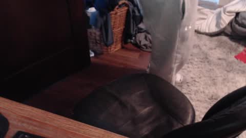 Snapshot of gethoggy chatting on 01/25/25, 04:35 gethoggy online show from 01/25/25, 04:35