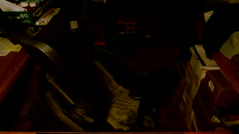 Snapshot of gfhdhr2 chatting on 03/04/25, 09:18 gfhdhr2 online show from 03/04/25, 09:18