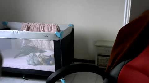 Snapshot of gh1952ma chatting on 02/24/25, 07:55 Gisse online show from 02/24/25, 07:55