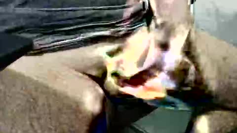 Snapshot of ghost1805 chatting on 10/14/25, 03:51 ghost1805 online show from 10/14/25, 03:51
