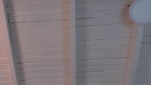 gigi wilden online show from 02/12/25, 02:10